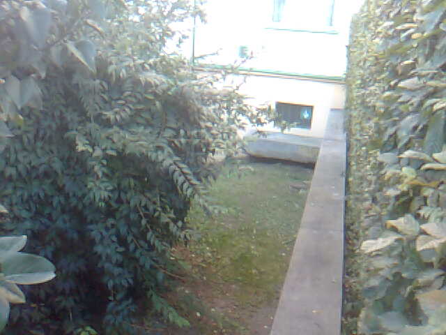 Obraz0739