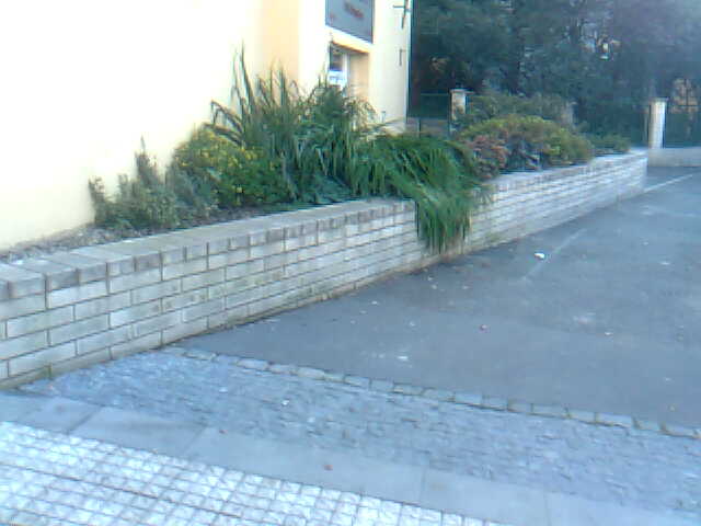Obraz0746